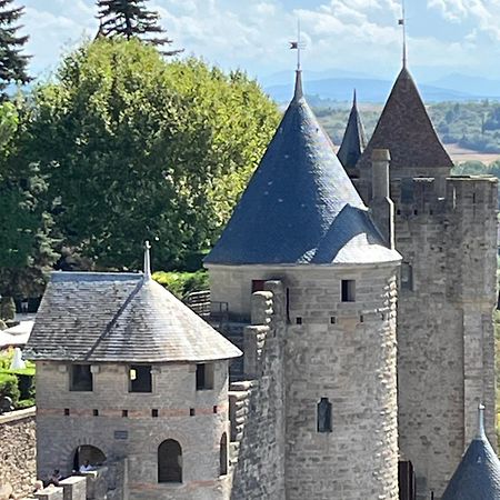 Appartement Tres Calme, Rdc, 800 M De La Cite Medievale Classee Au Patrimoine De L'Unesco Carcassonne Dış mekan fotoğraf