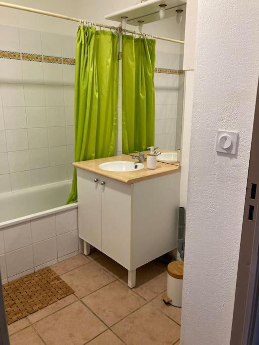 Appartement Tres Calme, Rdc, 800 M De La Cite Medievale Classee Au Patrimoine De L'Unesco Carcassonne Dış mekan fotoğraf