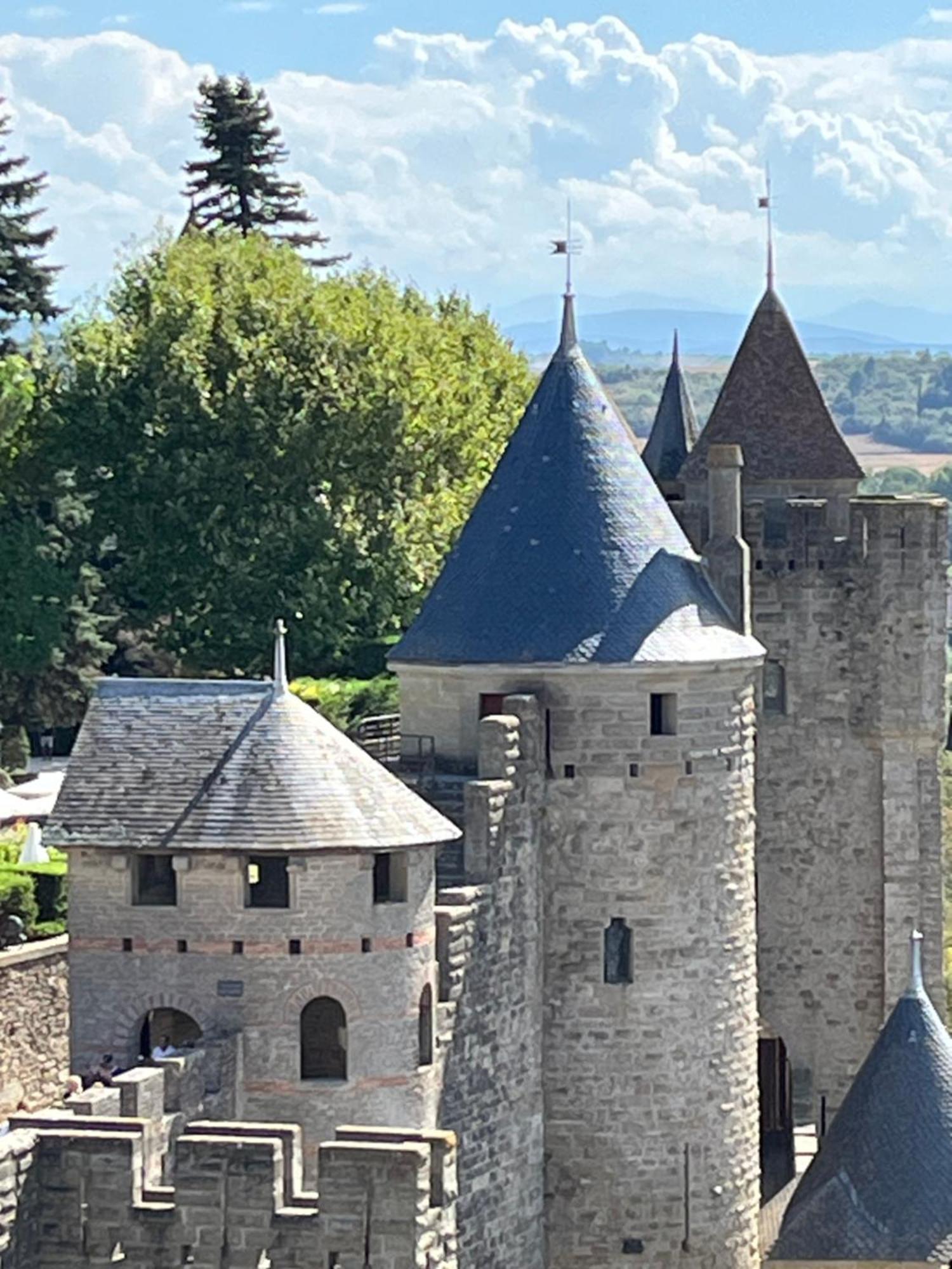 Appartement Tres Calme, Rdc, 800 M De La Cite Medievale Classee Au Patrimoine De L'Unesco Carcassonne Dış mekan fotoğraf